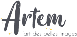 Logo Artem Nantes boutique d'encadrement